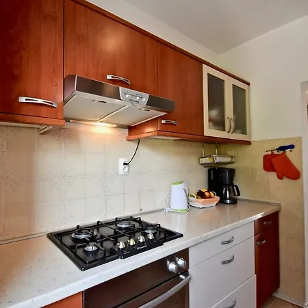 Apartment With Spacious Terrace / 2 Bedrooms Pula